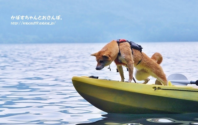 4bb05d1d.jpg