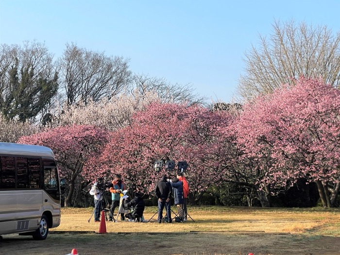 IMG_7277 (中)