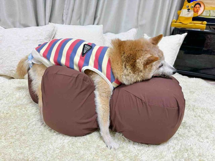 FullSizeRender