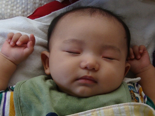 4f95982a.jpg