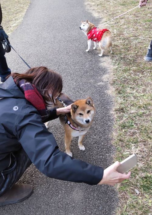 ファイル_000 (5)xx