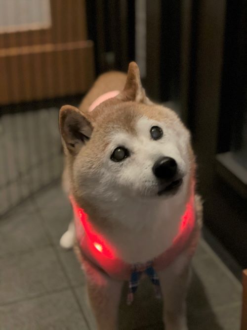 ファイル_014
