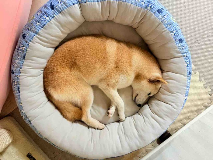 FullSizeRender