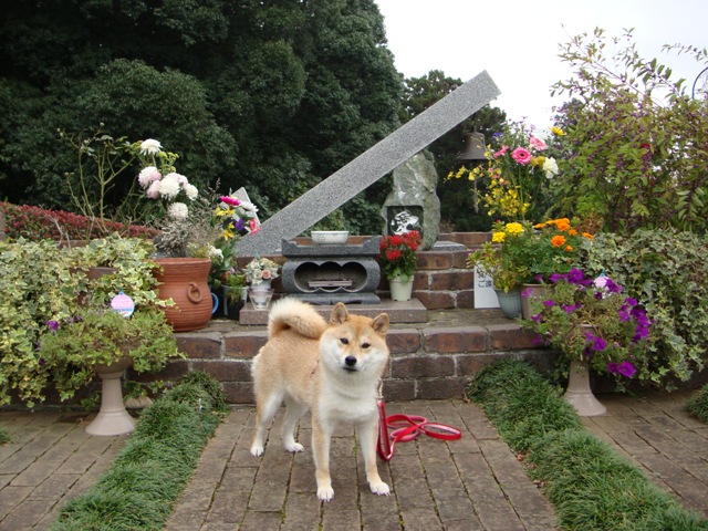 54c65921.jpg