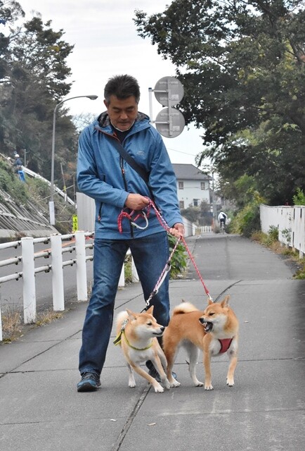 DSC_8771 (2)