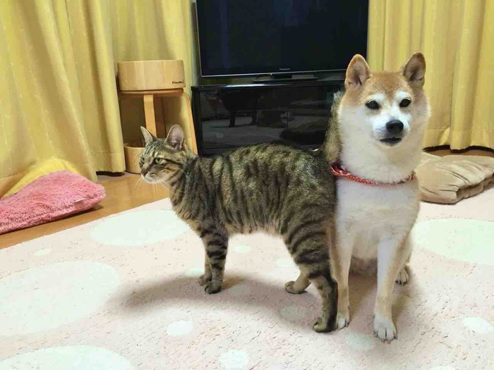 FullSizeRender