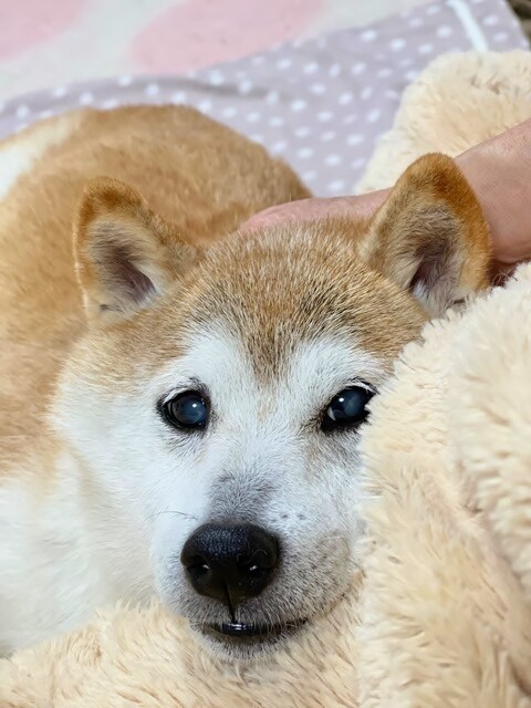 ファイル_001 (2)