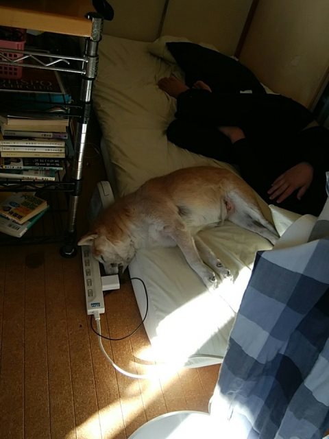 IMG_20190113_230248