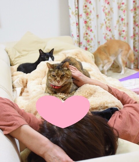 DSC_4709 (2)