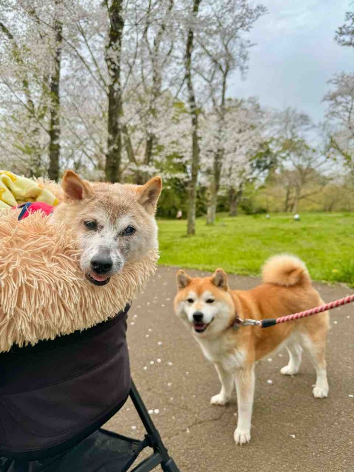 FullSizeRender