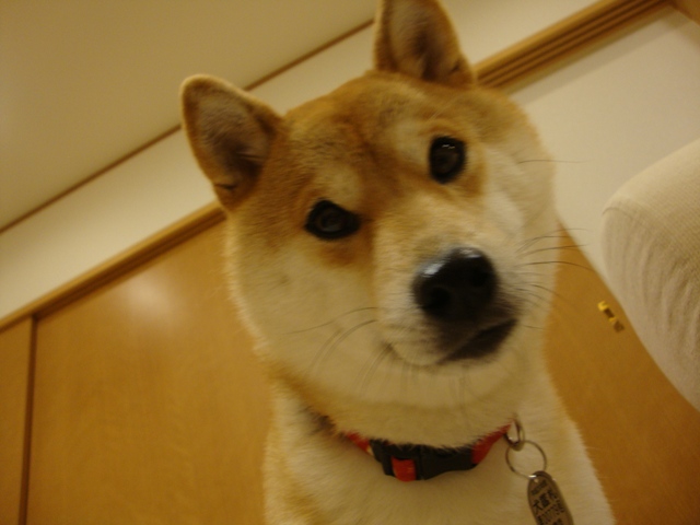 5d14e764.jpg