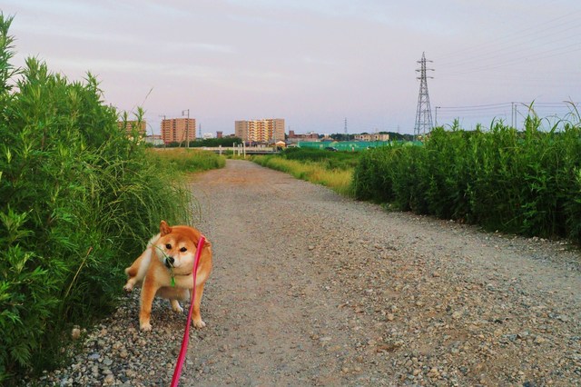 5d99b421.jpg