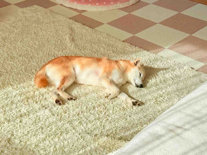 FullSizeRender