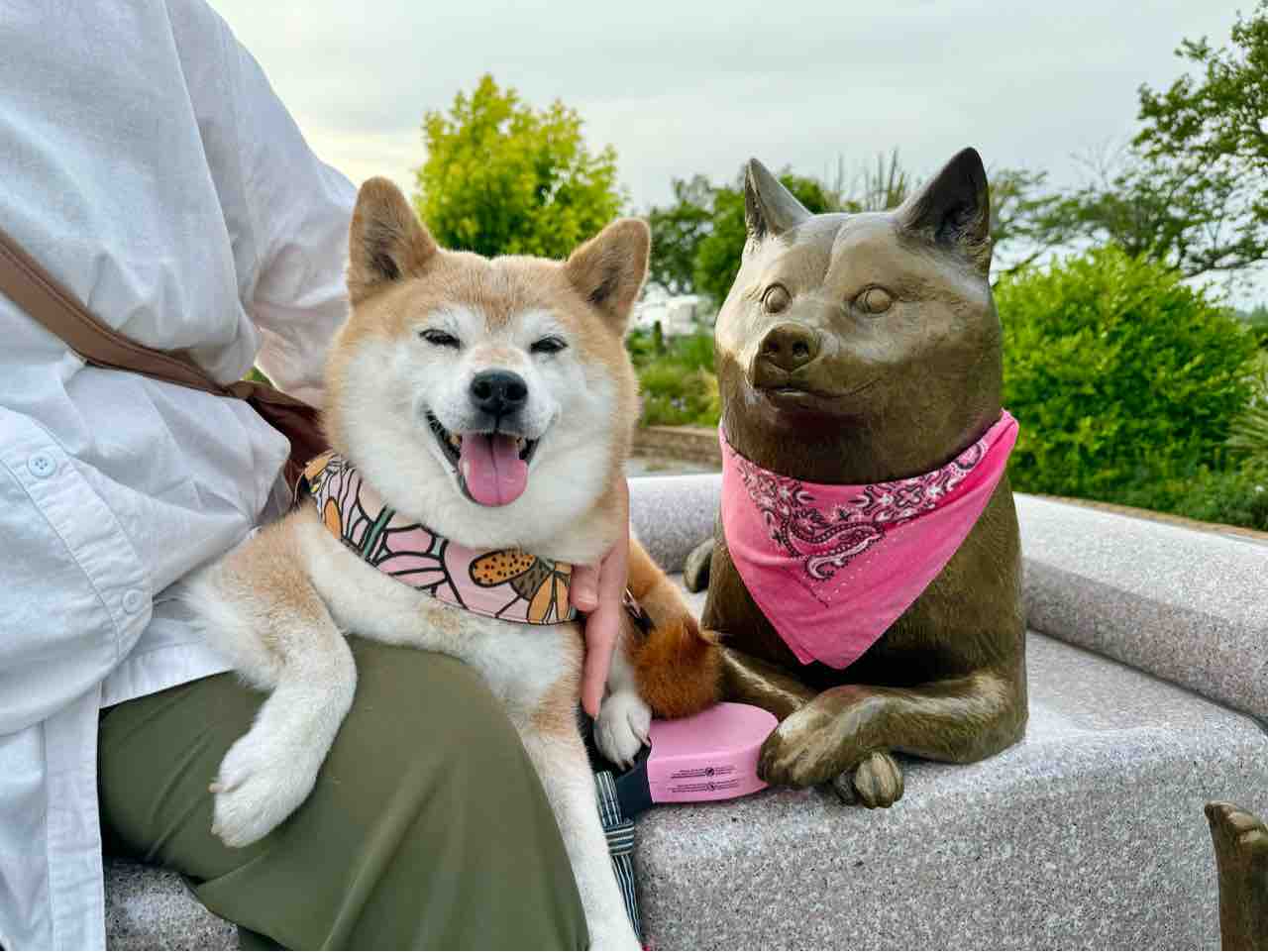 さよならの１４時間前に見せてくれた笑顔 : かぼすちゃんとおさんぽ。 Powered by ライブドアブログ