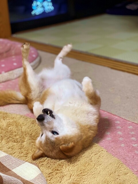 ファイル_003 (1)