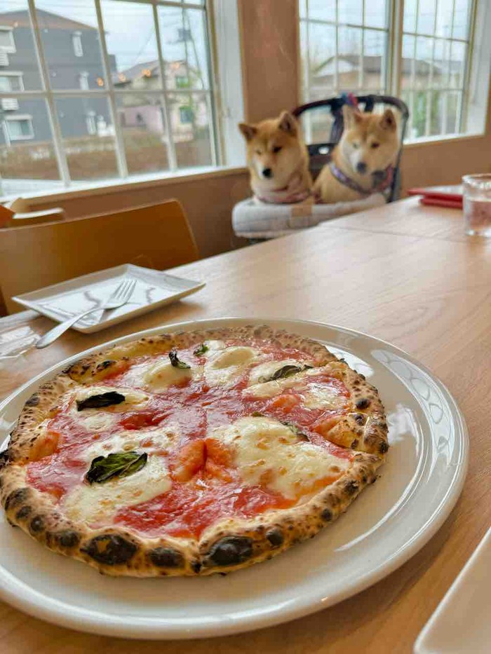 FullSizeRender