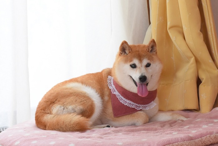 DSC_6685 (2).jpgxx