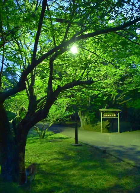 DSC_5804 (2).jpgxx