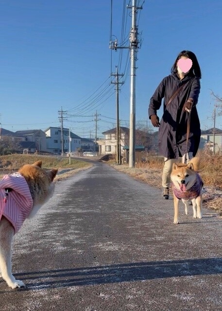 ファイル_000 (1)