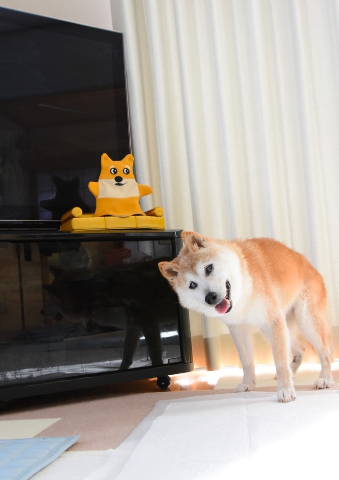 DSC_1325 (中)