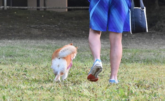 DSC_0909 (2)