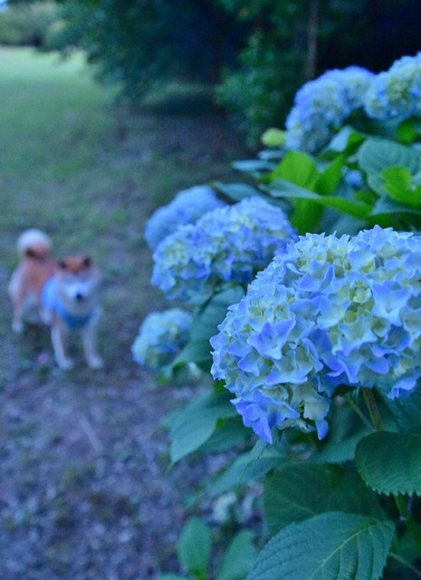 DSC_6358 (2).jpgxx