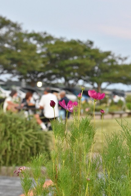 DSC_1064 (2)