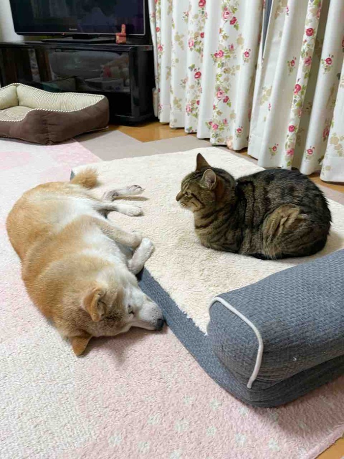 FullSizeRender