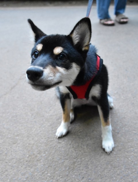 DSC_7900.jpgxx