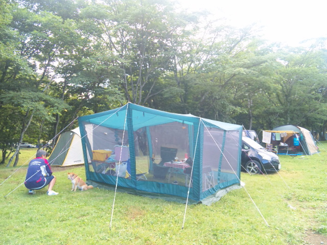 66d90827.jpg