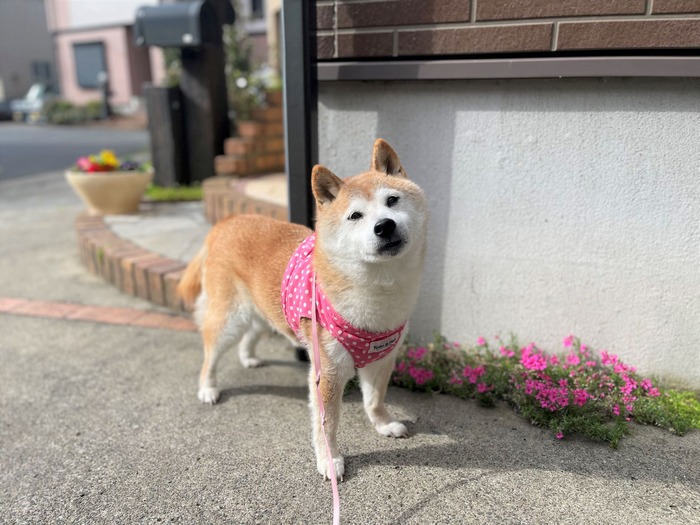 ファイル_014