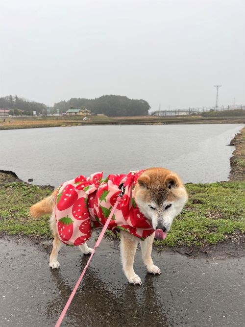 ファイル_021