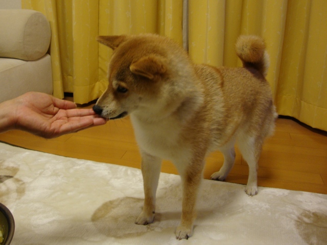 6cec3884.jpg