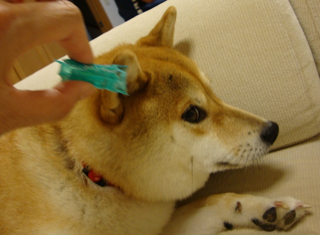 6cfcbe51.jpg