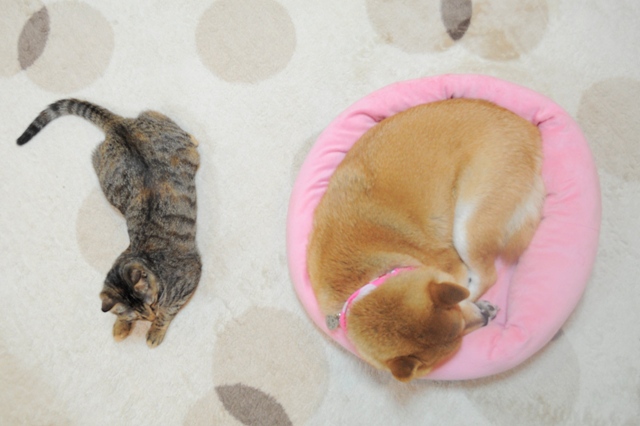 6d1a6f39.jpg