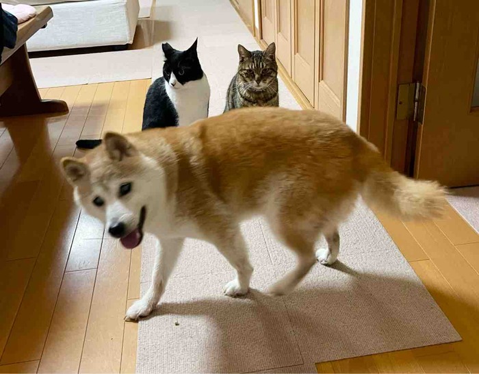 FullSizeRender