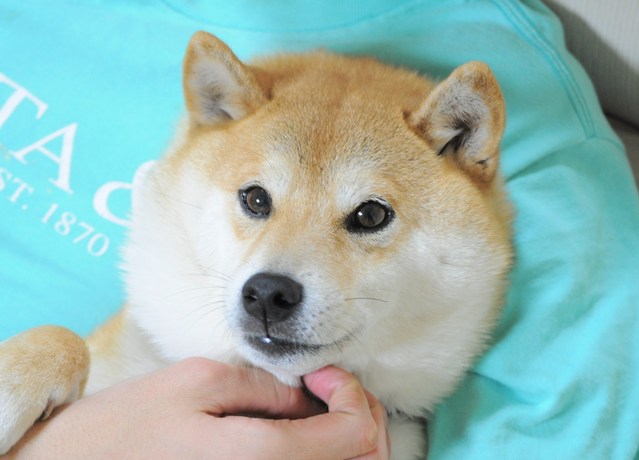 6df3a79c.jpg