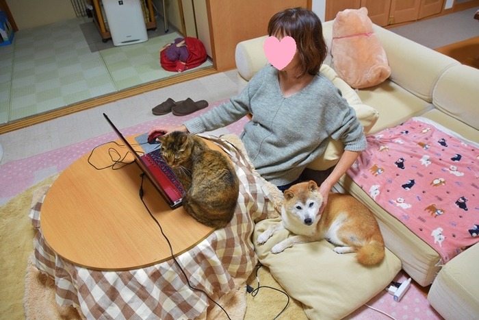 DSC_9320 (2)