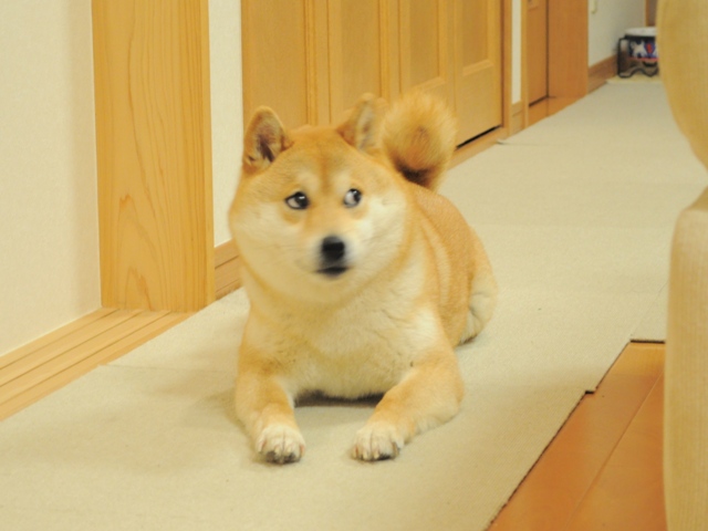 7109479d.jpg