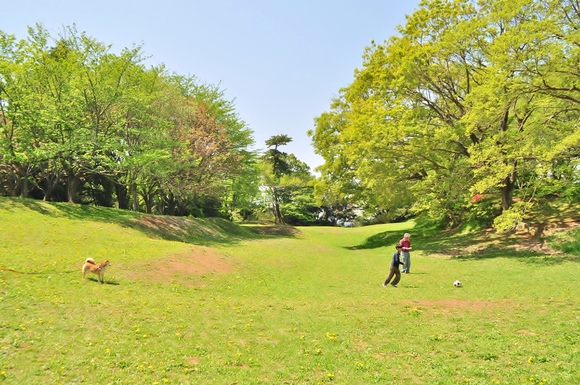 713f38f4.jpg