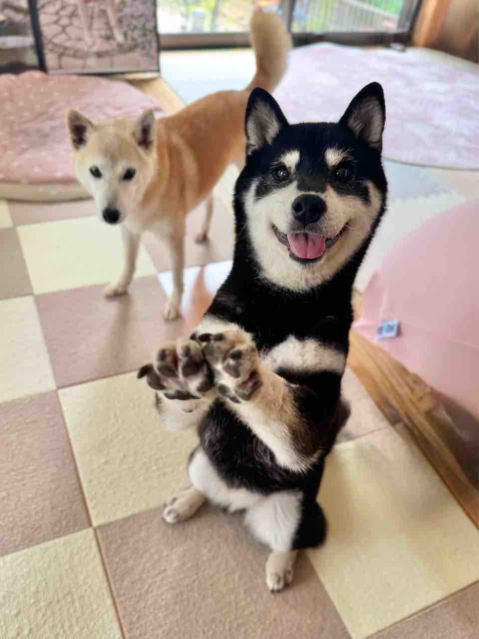 Kabuchanさんおまとめ4点 Kabuchanさんおまとめ4点 - その他