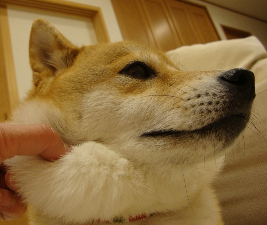 72554210.jpg