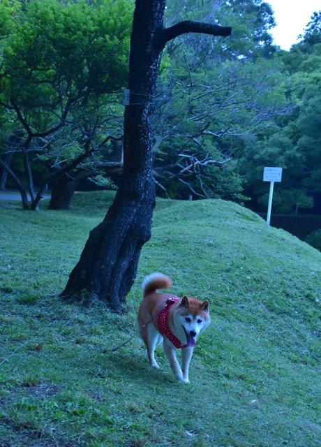 DSC_5761 (2).jpgxx