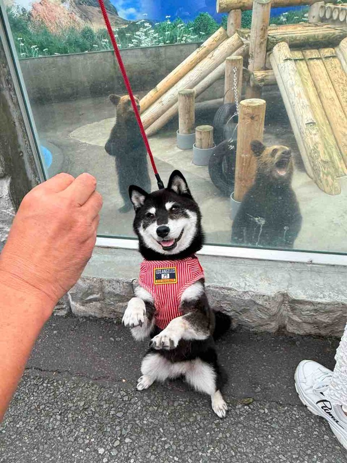 FullSizeRender