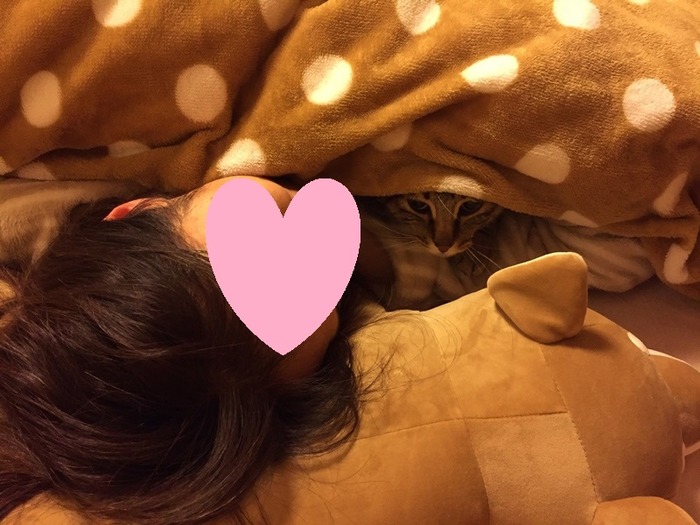 jpgxx