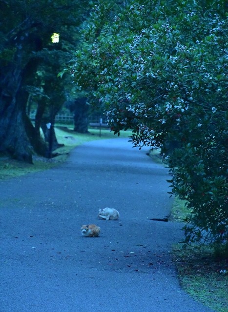 DSC_5758 (2).jpgxx