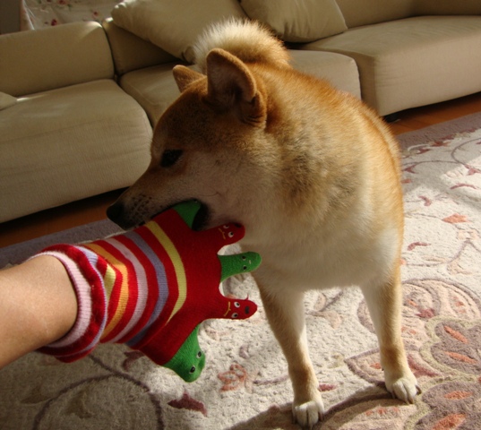 76425d6b.jpg