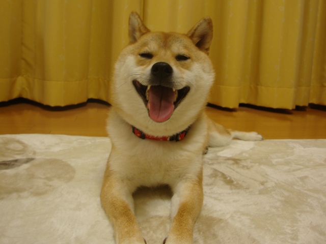 76b9816d.jpg