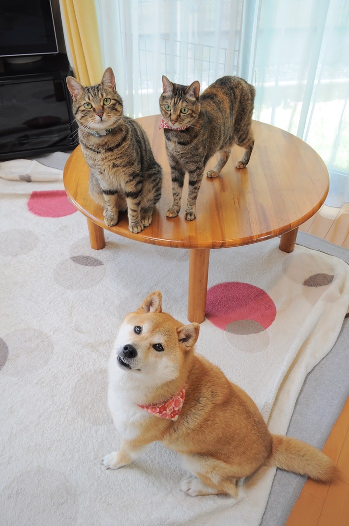 1 1