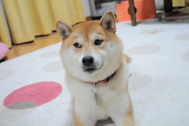 77084bf5.jpg